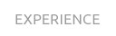 Experience